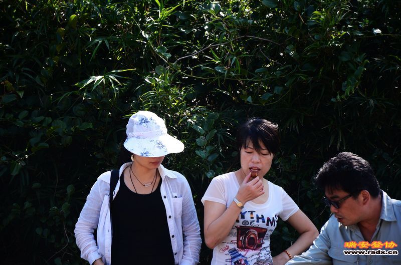 WGQ_0301.jpg