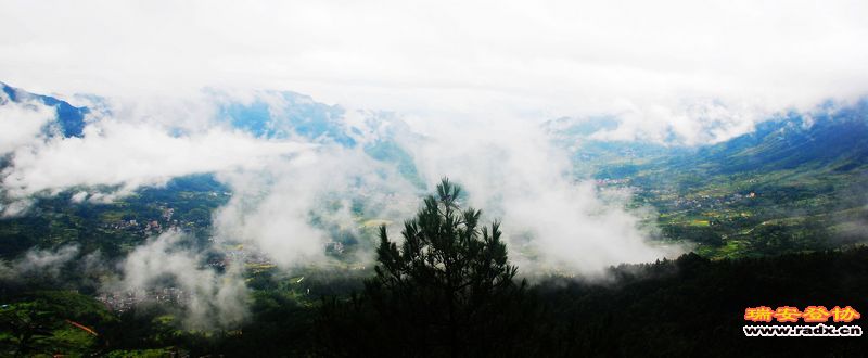 DSC_0320.jpg