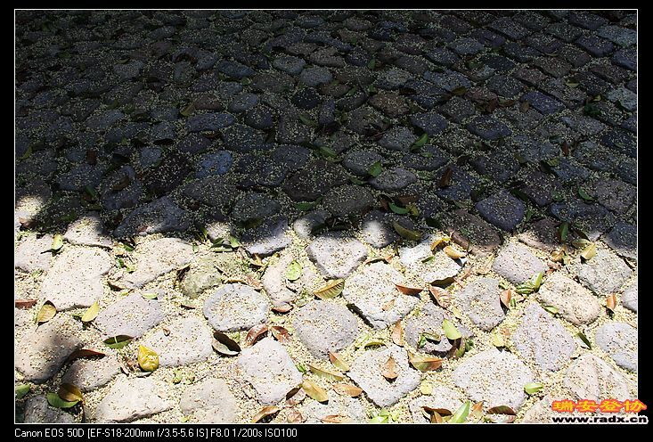 nEO_IMG_IMG_6758.jpg