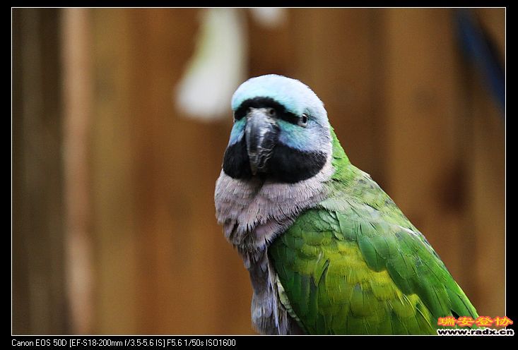 nEO_IMG_IMG_7149.jpg