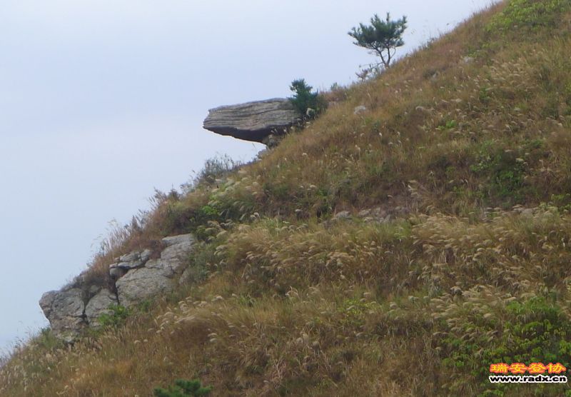 P1050268.JPG