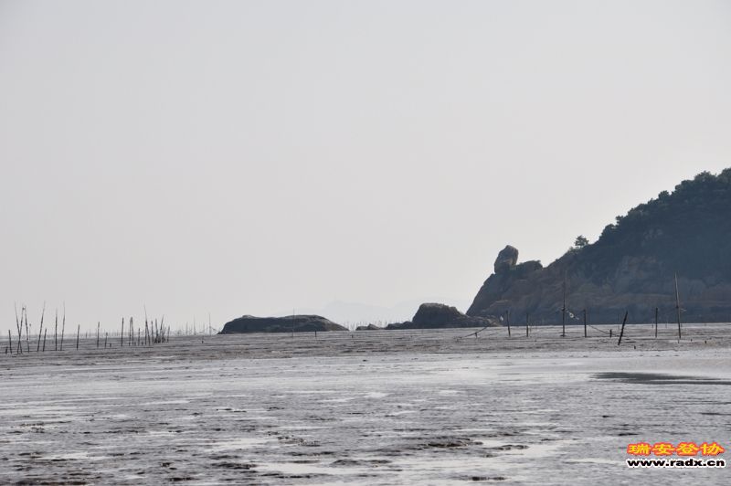DSC_0427.JPG