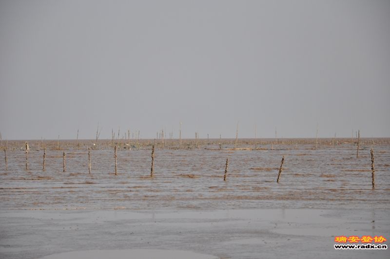 DSC_0462.JPG