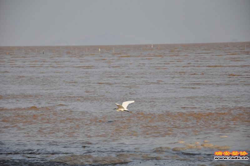 DSC_0467.JPG