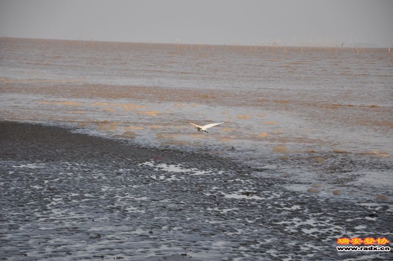 DSC_0468.JPG