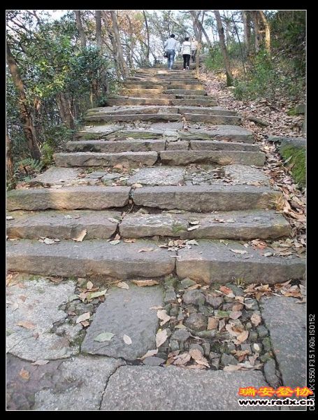 nEO_IMG_DSCN2487.jpg