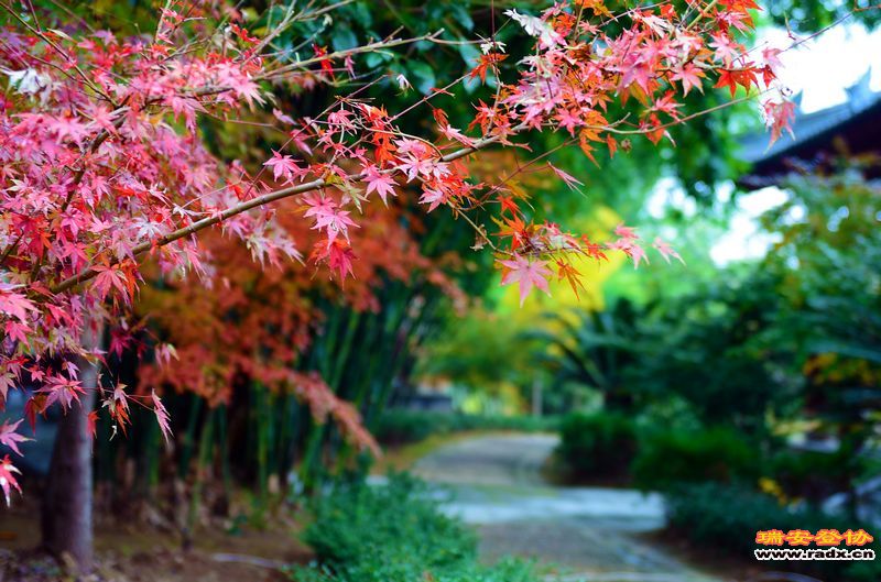 WGQ_4700_01.jpg