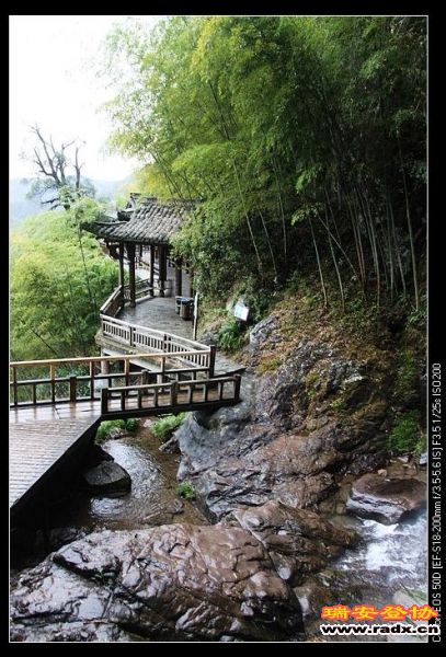 nEO_IMG_IMG_8524.jpg