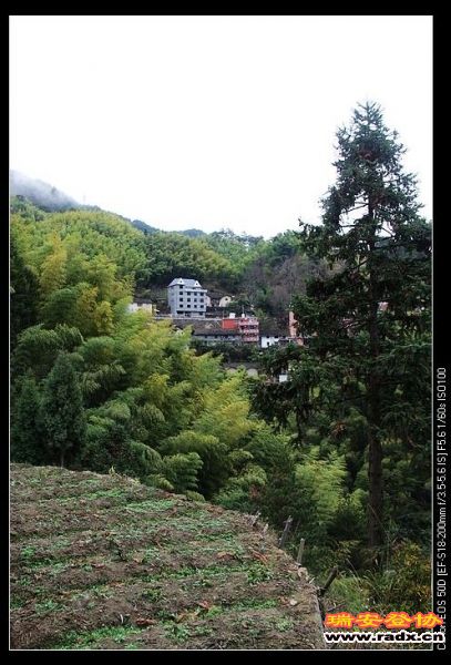 nEO_IMG_IMG_8538.jpg