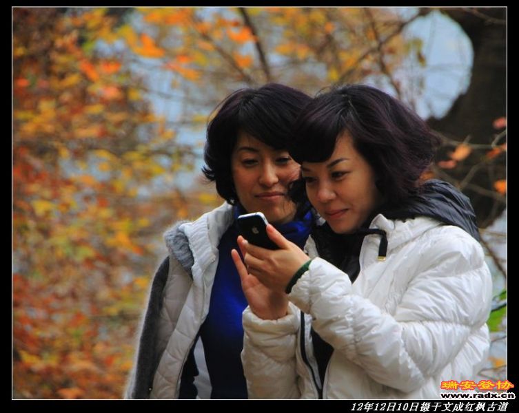 nEO_IMG_IMG_0801.jpg