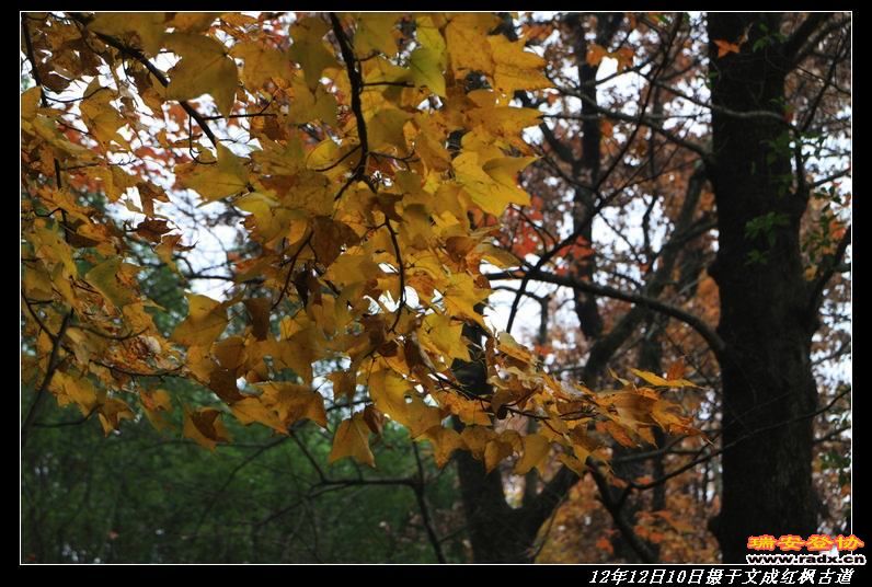 nEO_IMG_IMG_1093.jpg