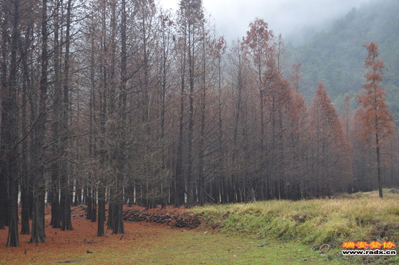 DSC_0103_副本.jpg