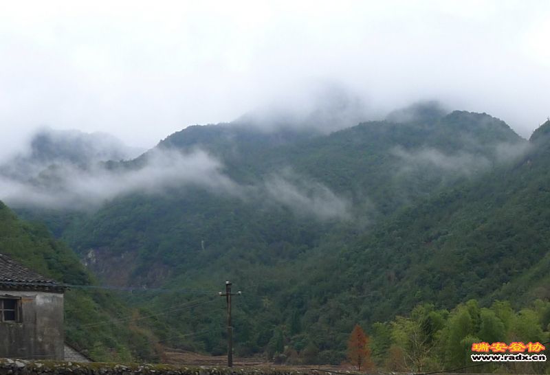 P1060488.JPG