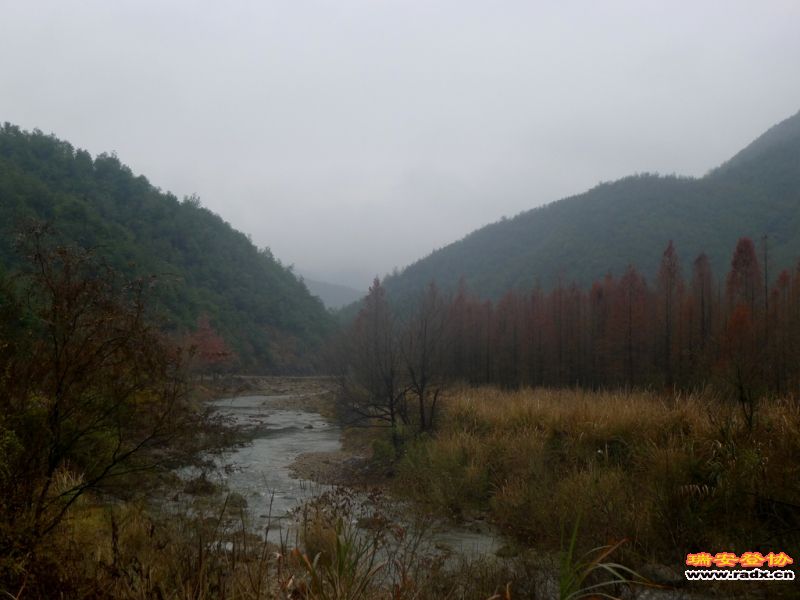 P1060522.JPG
