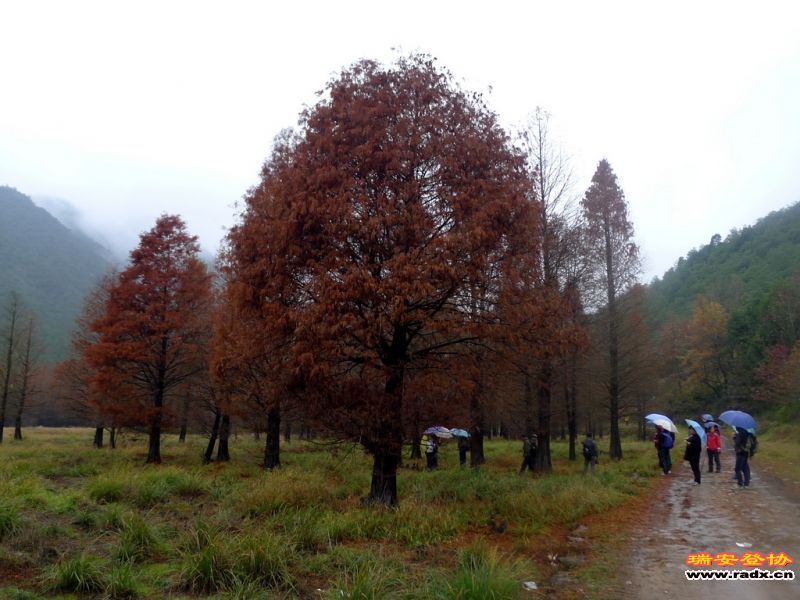 P1060532.JPG