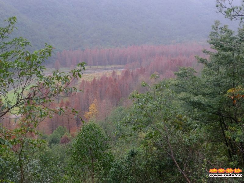 P1060562.JPG