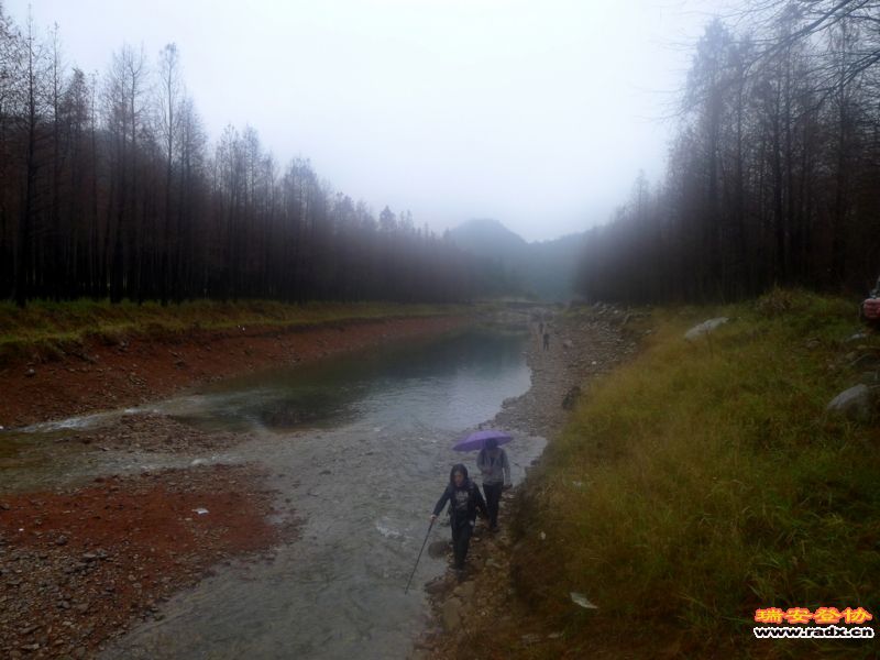 P1060582.JPG