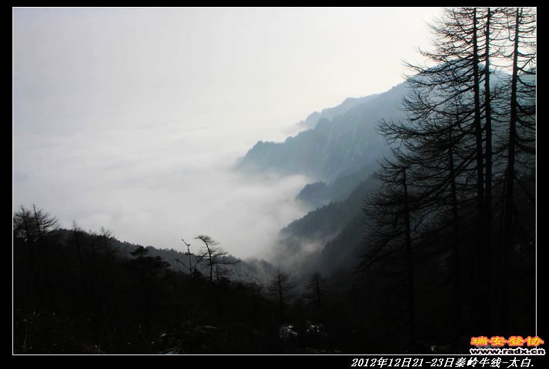 nEO_IMG_IMG_2211.jpg