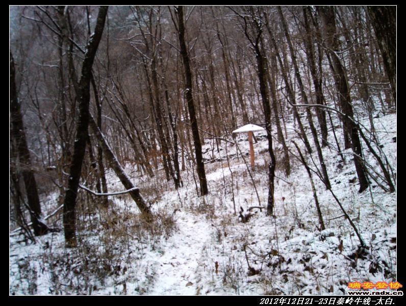 nEO_IMG_IMG_20121221_093558.jpg