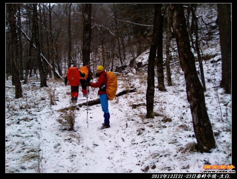 nEO_IMG_IMG_20121221_094628.jpg