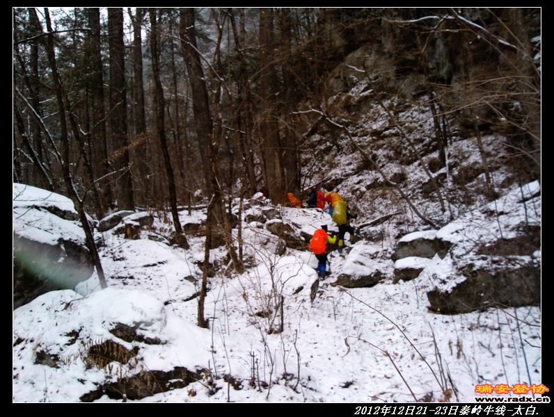 nEO_IMG_IMG_20121221_095005.jpg