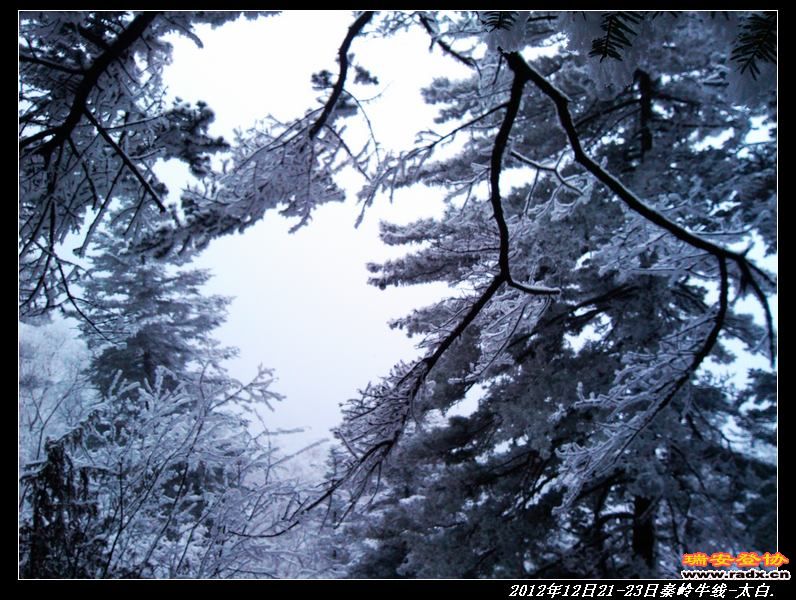 nEO_IMG_IMG_20121221_124602.jpg