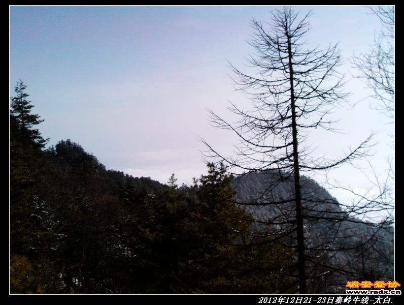 nEO_IMG_IMG_20121221_142442.jpg