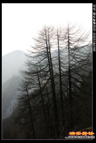 nEO_IMG_IMG_2226.jpg
