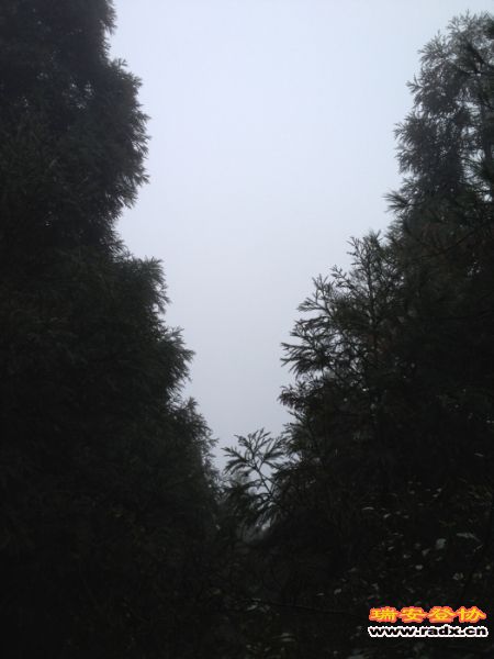 照片 079.jpg