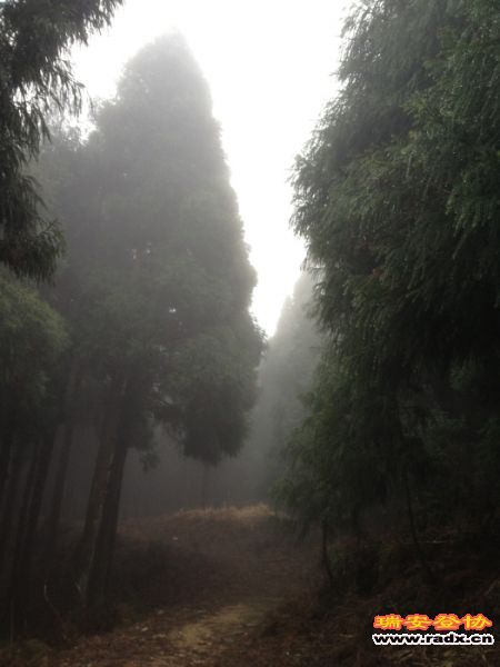 照片 083.jpg