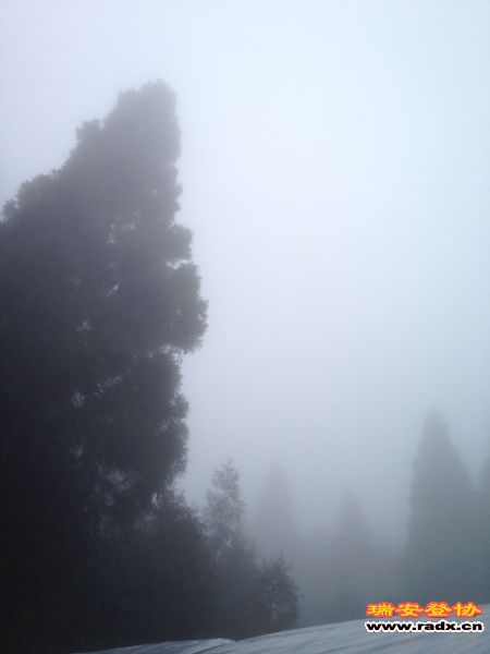 照片 090.jpg