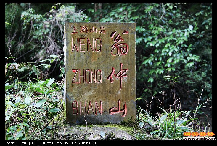 nEO_IMG_IMG_9471.jpg