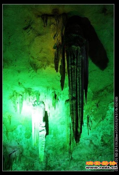 nEO_IMG_IMG_0314.jpg