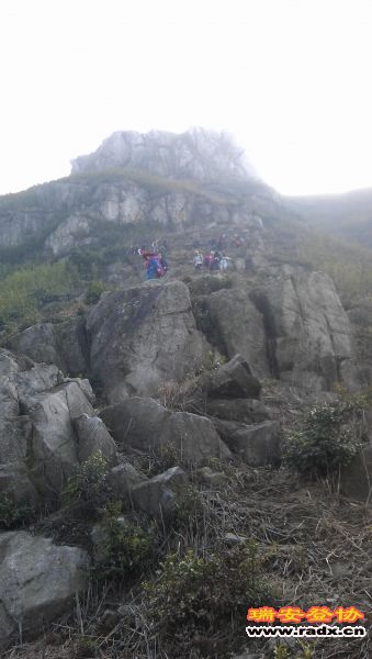 IMAG0446.jpg