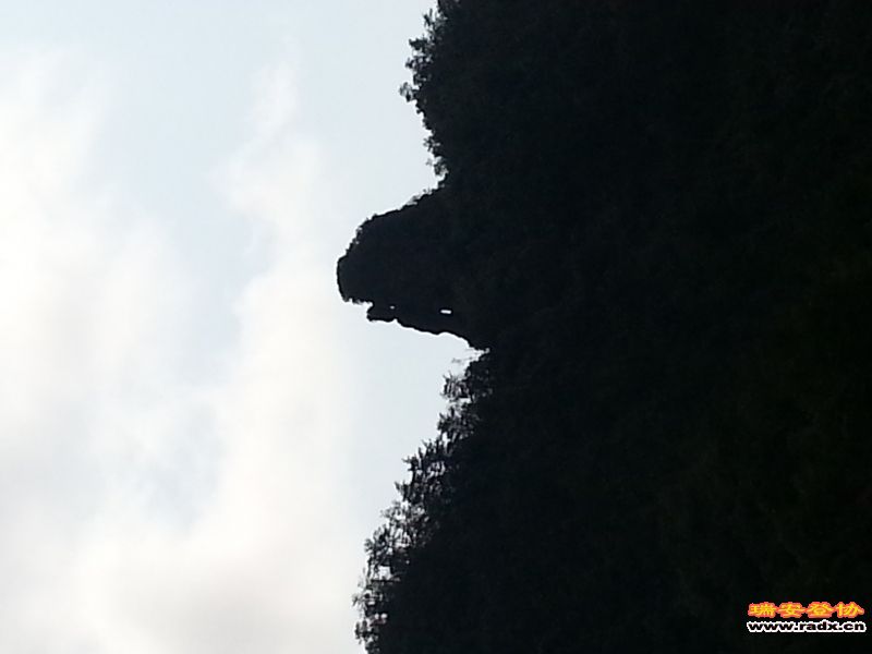 20130217_132708.jpg