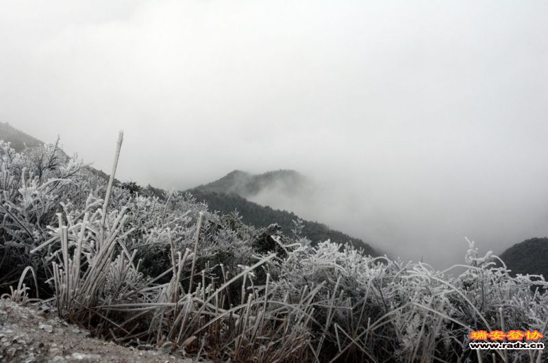 WGQ_1598.jpg