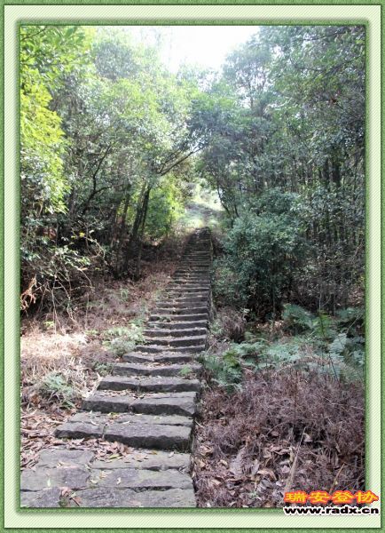 nEO_IMG_山道.jpg