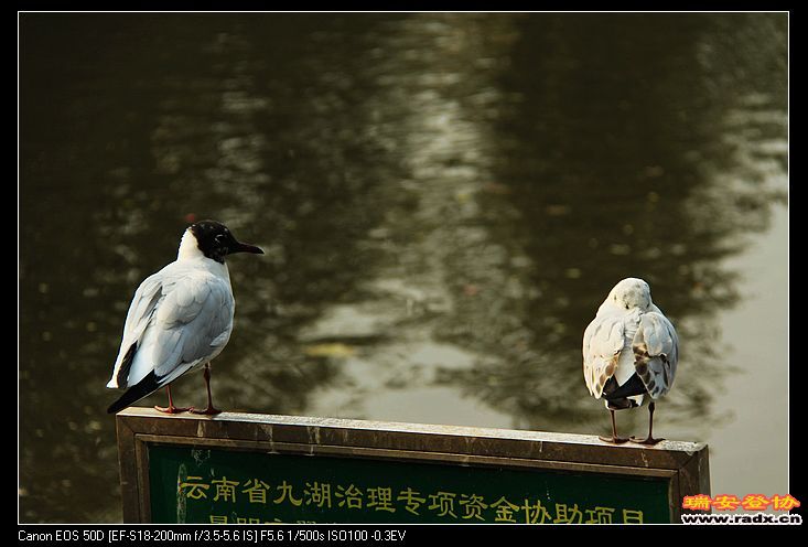 nEO_IMG_IMG_2711.jpg