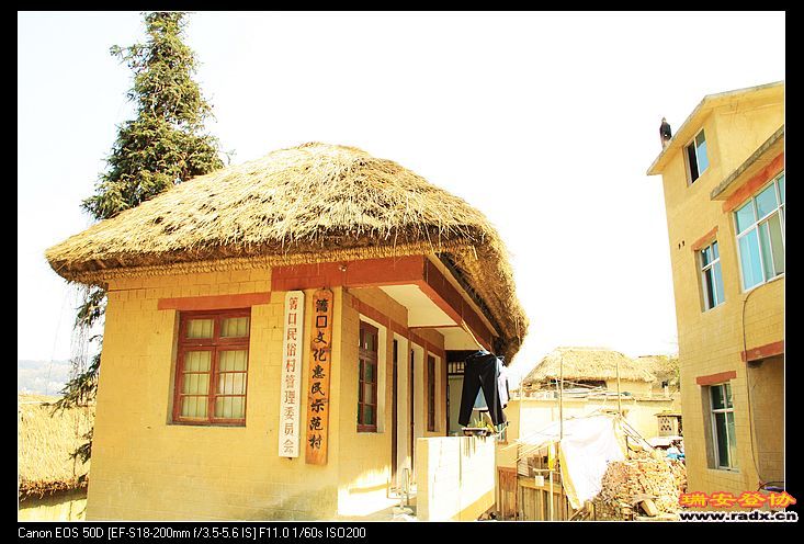 nEO_IMG_IMG_2141.jpg