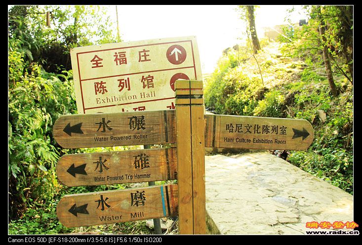 nEO_IMG_IMG_2175.jpg