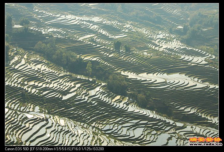 nEO_IMG_IMG_2257.jpg
