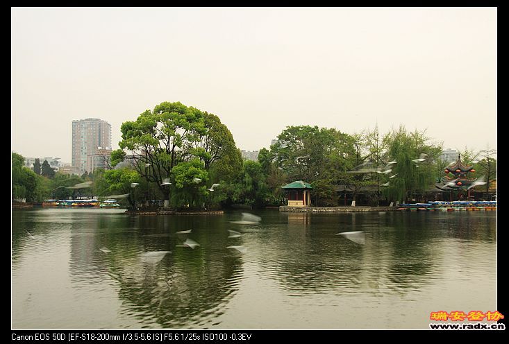 nEO_IMG_IMG_2573.jpg