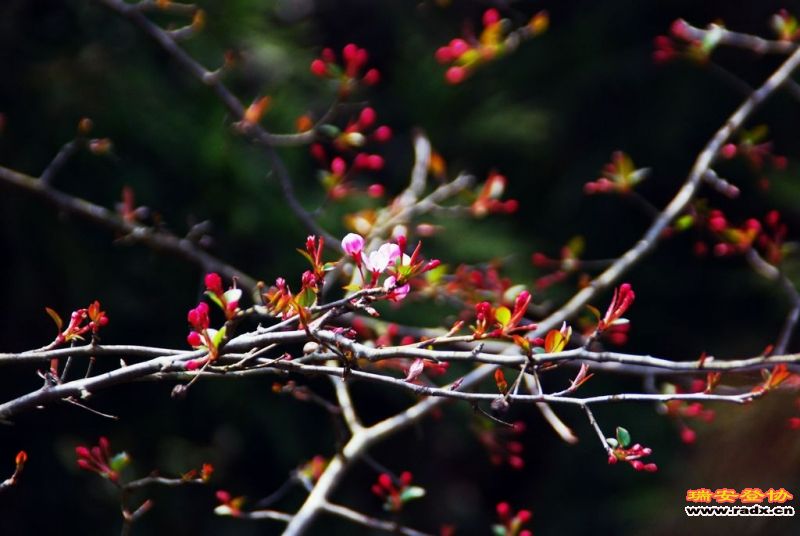 DSC_0109.jpg