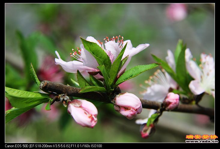 nEO_IMG_IMG_2863.jpg