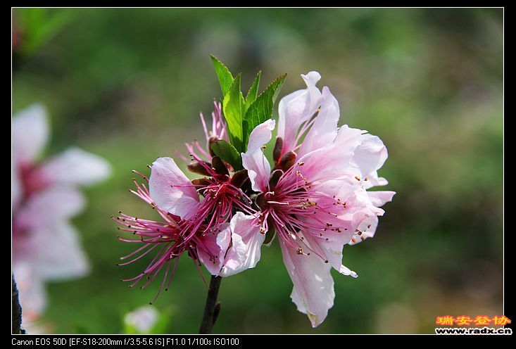 nEO_IMG_IMG_2875.jpg