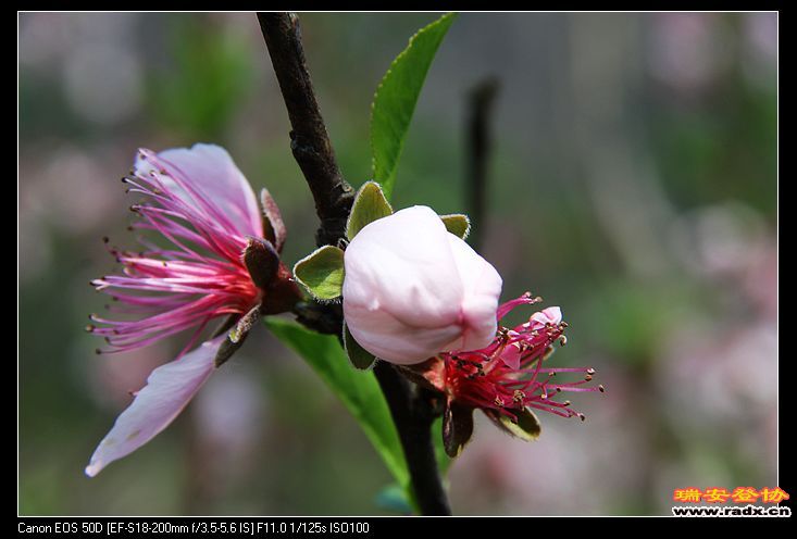 nEO_IMG_IMG_2880.jpg