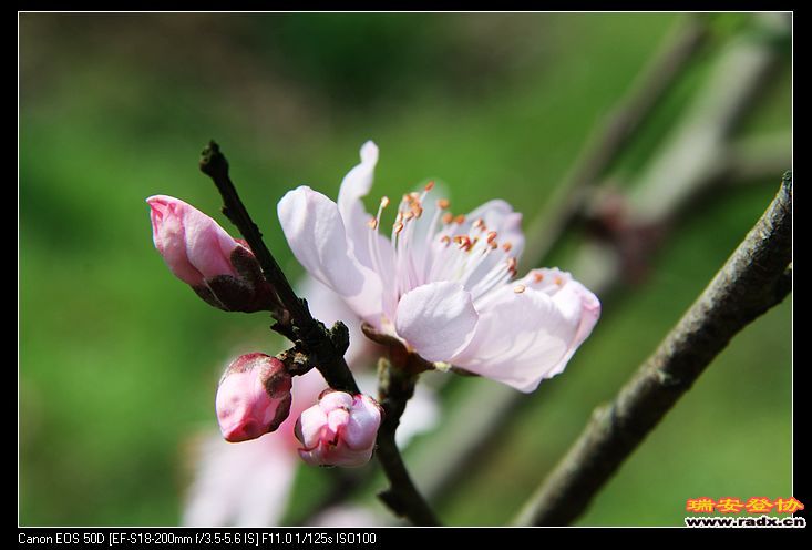 nEO_IMG_IMG_2883.jpg