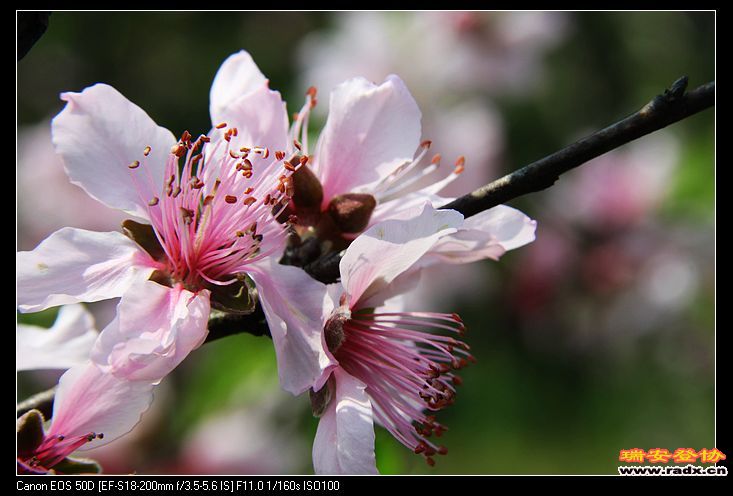 nEO_IMG_IMG_2884.jpg