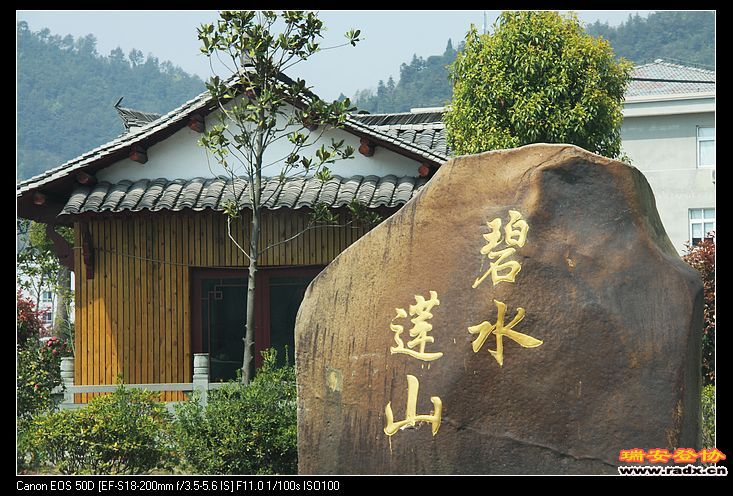 碧莲。
