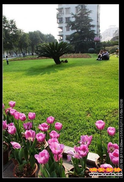 nEO_IMG_IMG_2969.jpg